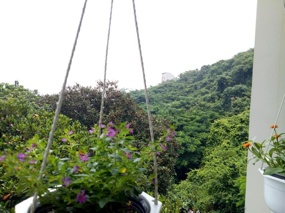 Lam Son Hotel & Apartments Vung Tau Dış mekan fotoğraf